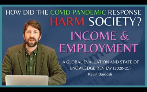 Episode 3 Income and Employment - 10 Ways the Covid Response Harmed Society