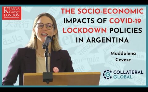 The Socio-Economic impacts of COVID-19 Lockdown Policies in Argentina - Maddalena Cevese