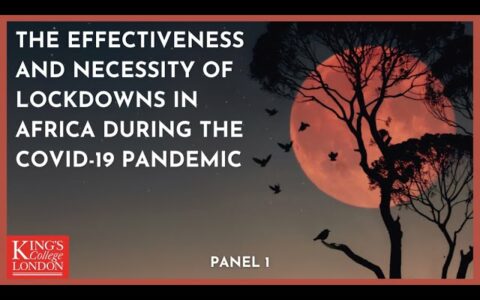 Panel 1: The Impact of Covid Restrictions on Low - and Middle-Income Countries