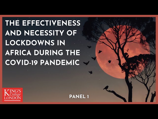 Panel 1: The Impact of Covid Restrictions on Low - and Middle-Income ...
