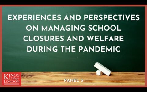 Panel 3: The Impact of Covid Restrictions on Low - and Middle-Income Countries