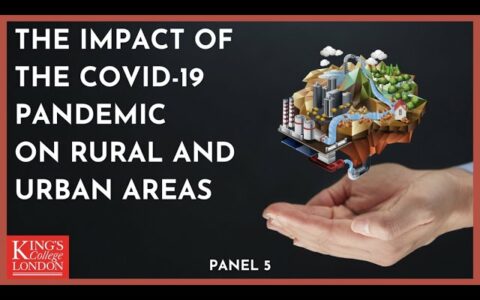 Panel 5: The Impact of Covid Restrictions on Low - and Middle-Income Countries