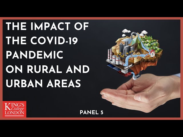 Panel 5: The Impact of Covid Restrictions on Low - and Middle-Income ...