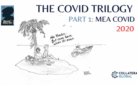 2020  Mea Covid